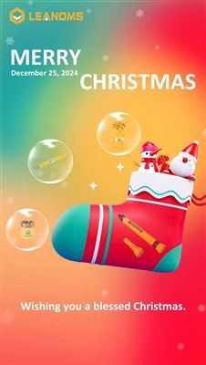 Vrolijk kerstfeest van LEANOMS!